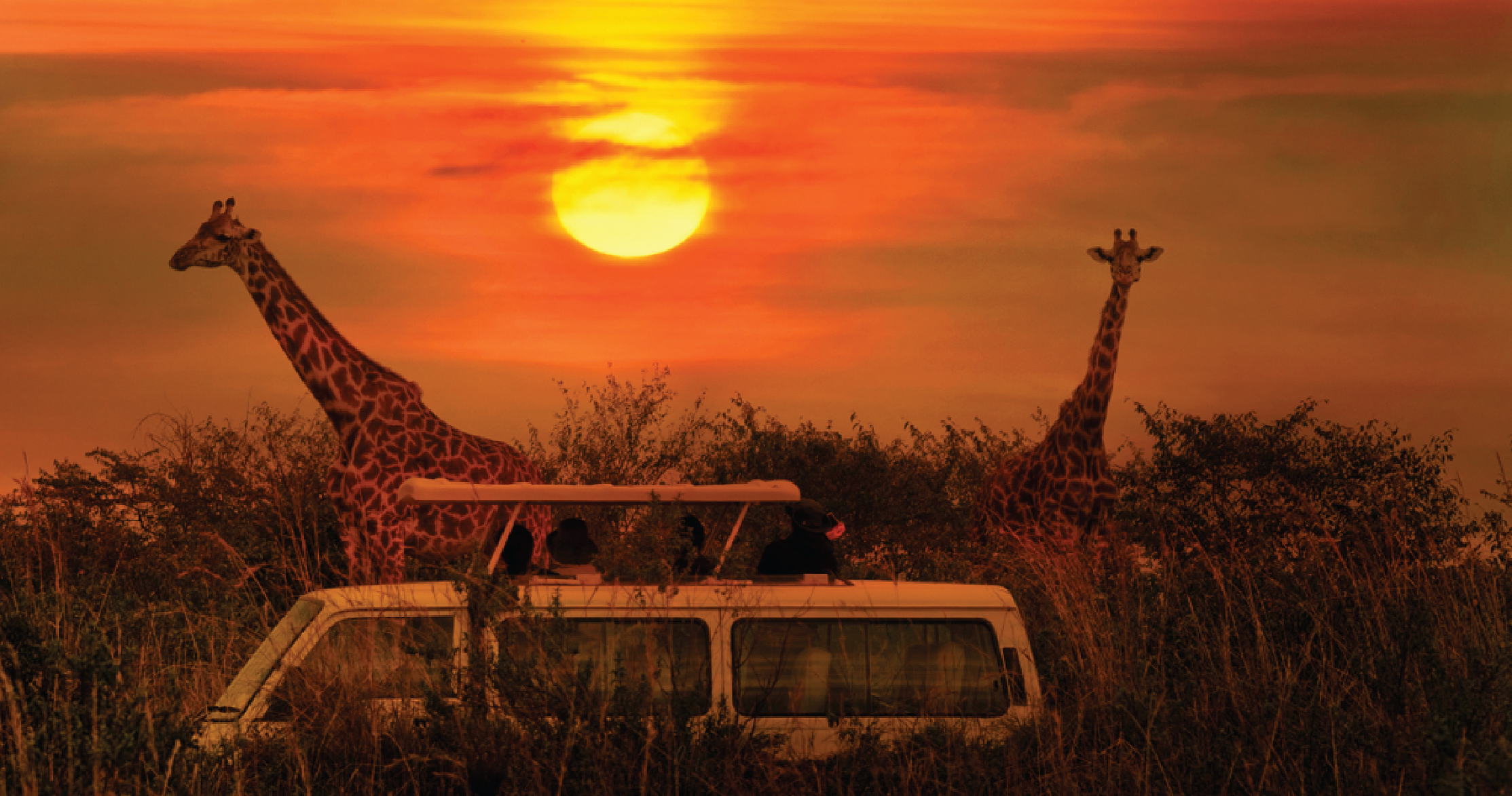 Inland safari tour itenaries